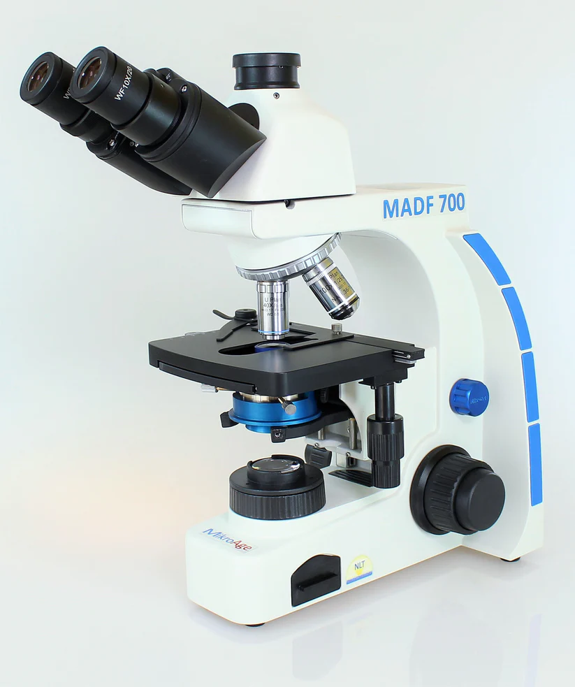 Mein Dunkelfeldmikroskop